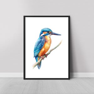Zimorodek Akwarela Malarstwo, Ptaki Akwarela Sztuka Wydruk, Ptaki Ścienny Sztuka Wydruk, Watcher Gift Birder Art, Akwarela Plakat