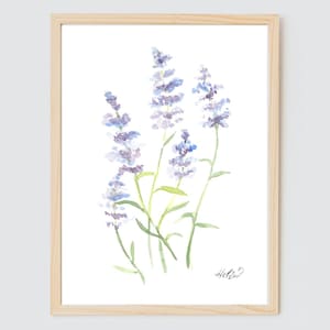 Original Lavender Flower Watercolor - Watercolor Flowers - Art Botanical - Watercolor Painting - Flowers Art