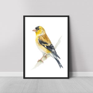 Goldfinch Watercolor Print Bird Painting Bird Watchers Gift Wall Art Print American Goldfinch