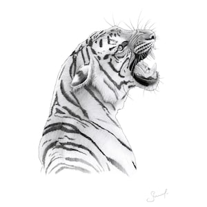 PRINT Tiger - Graphite Pencil Drawing - Pencil Sketch - Drawing Artwork - Digital Download