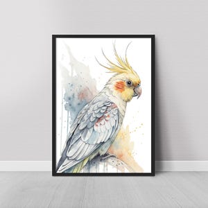 Cockatiel parrot watercolor painting print, Cockatiel Bird Art Print, Wall Art Print, Bird Watching Gift