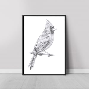 PRINT Cardinal - Graphite Pencil Drawing - Wall Art Print - Digital Download