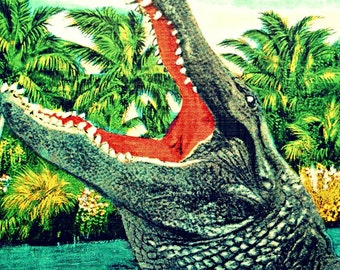 Alligator Art, crocodile art, Alligator Print, Kids room wall art, Crocodile Art Print