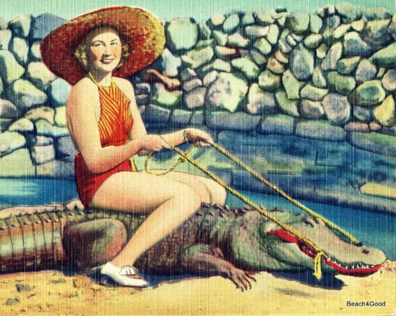 Retro Woman Riding Alligator Photograph, Vintage Beach Decor, Summer Art Vintage Florida image 1