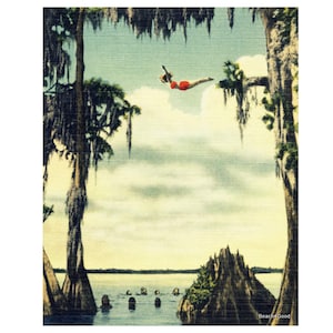 Vintage Photo Woman Girl Diving at Cypress Gardens, Coastal Wall Art, Vintage Florida Art, Color Fine Art Print, Diver Gift, living room art image 1