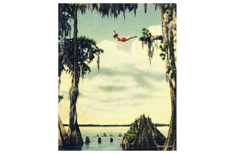Vintage Photo Woman Girl Diving at Cypress Gardens, Coastal Wall Art, Vintage Florida Art, Color Fine Art Print, Diver Gift, living room art image 1