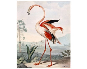 Pastel Pink Flamingo Canvas Print - Vintage Coastal Wall Art (24x30)