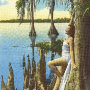 Vintage Photo Woman Girl Diving at Cypress Gardens, Coastal Wall Art, Vintage Florida Art, Color Fine Art Print, Diver Gift, living room art Woman on Tree