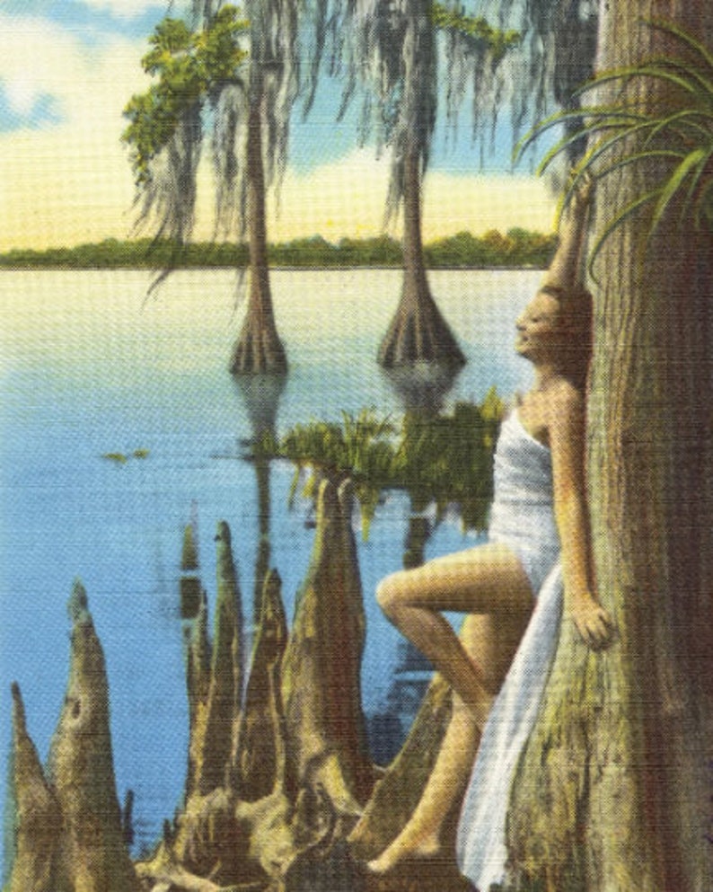 Vintage Photo Woman Girl Diving at Cypress Gardens, Coastal Wall Art, Vintage Florida Art, Color Fine Art Print, Diver Gift, living room art Woman on Tree