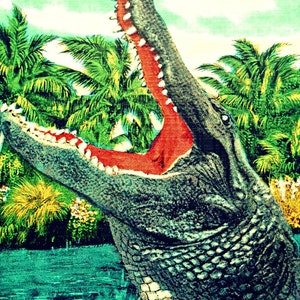 Retro Alligator Art, Florida Gators, Animal Art, Coastal Wall Art, Retro Alligator Print, Gator Gifts