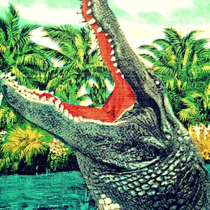 Vintage Alligator Print | Coastal Animal Art | Perfect Gift for Florida Gators Fans