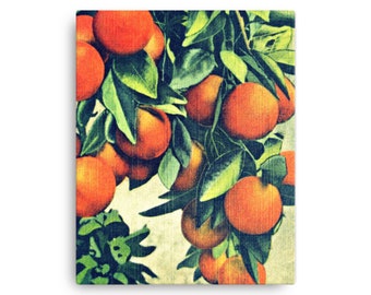 Florida Oranges on Canvas 24x30, Vintage Botanical Art , Bright Wall Art, Tropical Home Decor