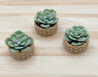Miniature Succulent Plant, 1:12 Scale Dollhouse Decor | Modern Plant Basket Decor