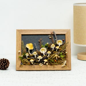 Clay Mushroom Forest Painting, Natural 3D Wall Art With Yellow Mushroom & Dried Plants In Oak Frame, Clay Art For Decor Home, Best Gift Idea
