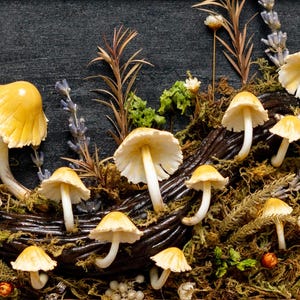 Clay Mushroom Forest Painting, Natural 3D Wall Art With Yellow Mushroom & Dried Plants In Oak Frame, Clay Art For Decor Home, Best Gift Idea