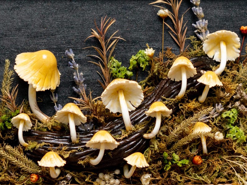 Clay Mushroom Forest Painting, Natural 3D Wall Art With Yellow Mushroom & Dried Plants In Oak Frame, Clay Art For Decor Home, Best Gift Idea