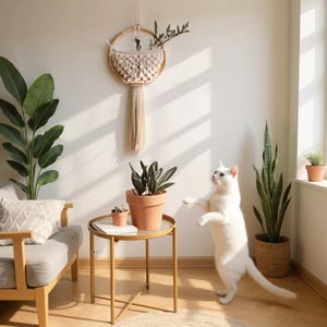 Peut inclure: Un chat blanc se dresse sur ses pattes arrière près d'une petite table dorée avec une plante en pot. Une suspension murale en macramé et plusieurs autres plantes en pot sont également visibles. La pièce a une palette de couleurs neutres avec de la lumière naturelle.