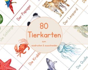 80 Tierkarten DIN A5 | Große Lernkarten Tiere | Wortschatz & Sprachförderung | Montessori Material für Kita, Kindergarten und Zuhause | PDF