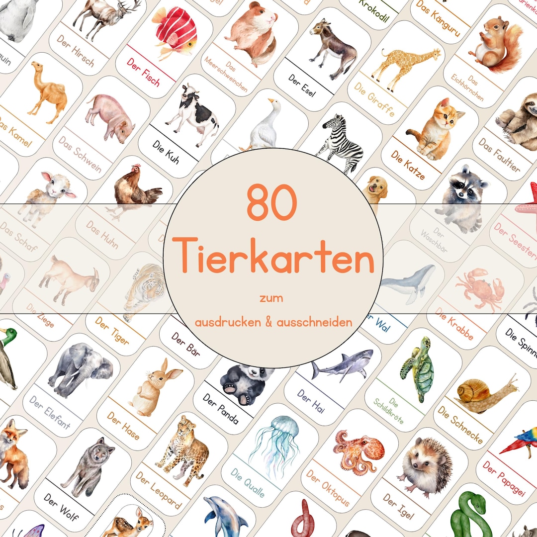 80 Tierkarten Für Kinder | PDF Zum Ausdrucken | Lernkarten Tiere Set