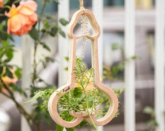 Personalized Wooden Air Plant Hanger, Funny Rearview Mirror Accessories, Car Interior,Special Wooden Flower Pots,Home Decor,Plant Art