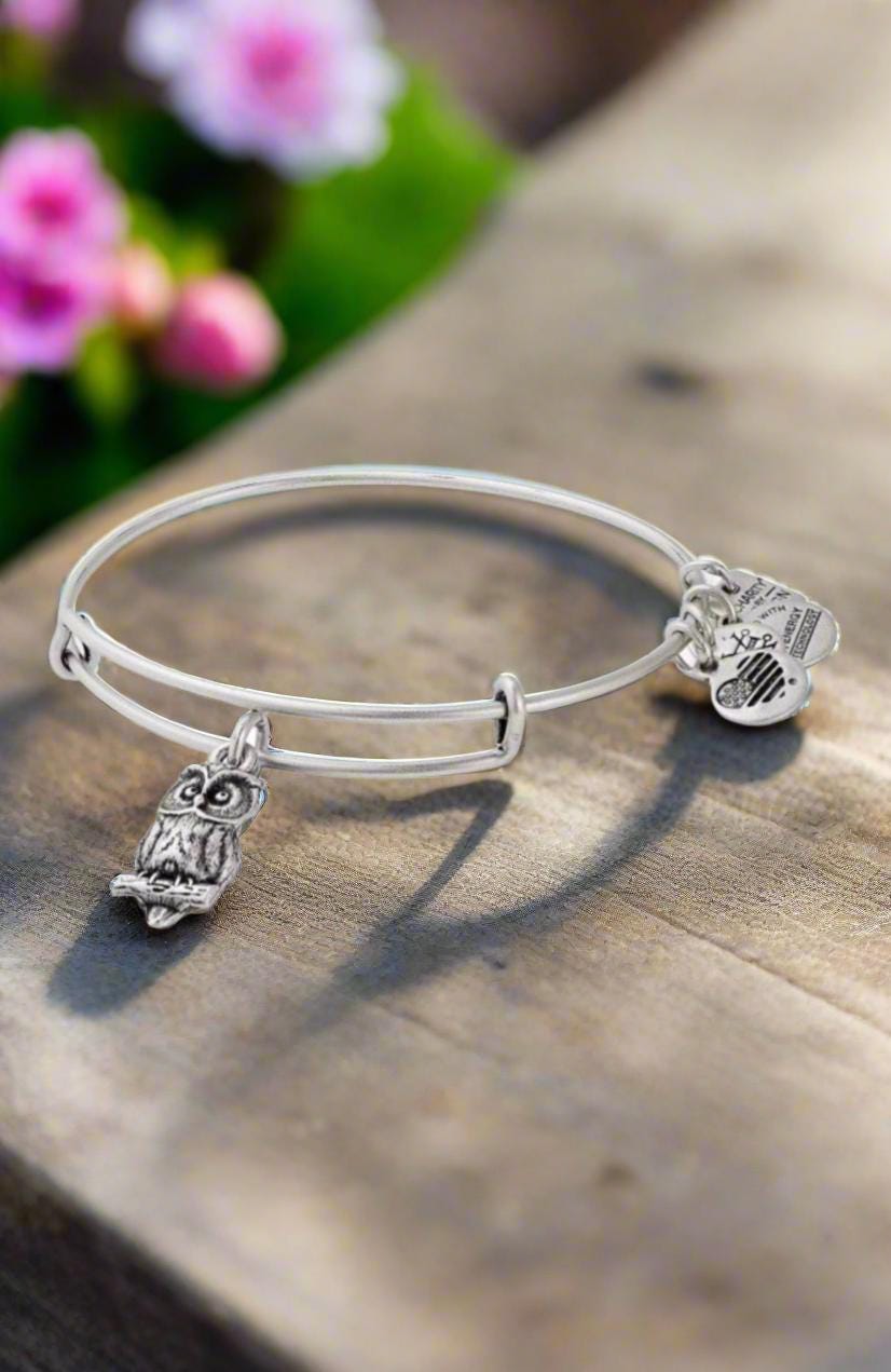 Alex and Ani Owl Charm Bangle Bracelet: Rafaelian Gold or Silver Finish