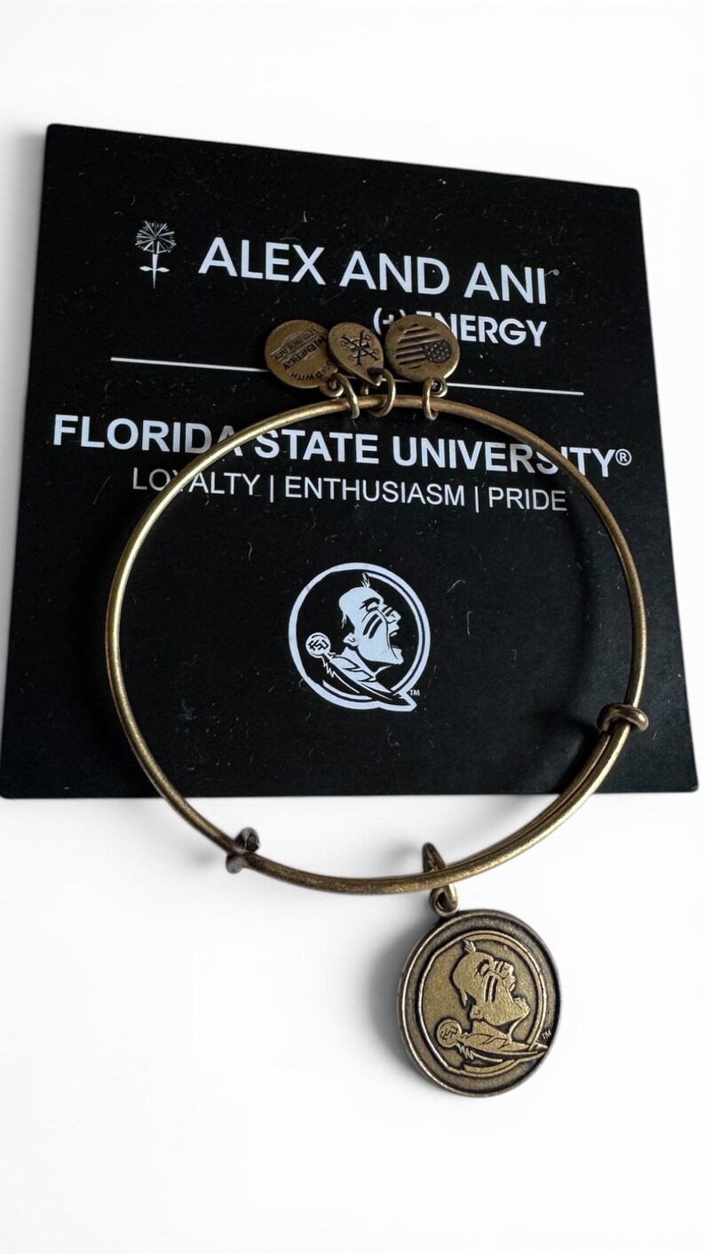 Alex and Ani - Florida State University Seminoles Charm Bangle Bracelet ...