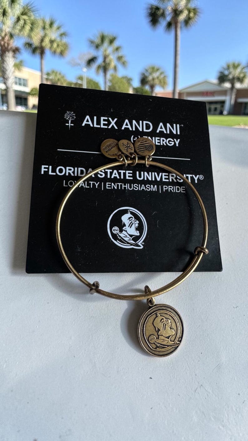 Alex and Ani - Florida State University Seminoles Charm Bangle Bracelet ...
