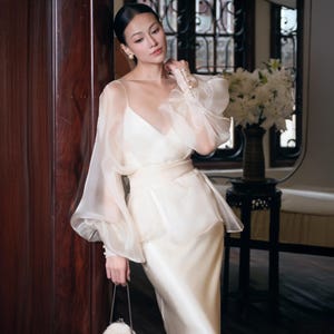 silk organza overlay dress Lafayette 148 New York