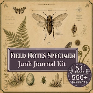 以下が含まれることがあります： 51ページと550以上の要素を含むField Notes Specimenジャンクジャーナルキット。デザインには、蛾、4.6cmの測定値が記されたセミ、シダ、種子鞘、鳥の卵、甲虫、結晶のヴィンテージ風イラストが含まれています。