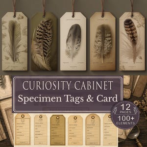 Vintage Specimen Cards & Tags Printable, Curiosity Cabinet Sampler, Entomology Junk Journal Ephemera