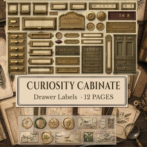 Pode incluir: Uma coleção de etiquetas de gaveta, ferragens de armário e placas decorativas de latão em estilo vintage com textos como BEETLES, MINERALS e PRIVATE. O conjunto inclui selos de cera, selos postais e CURIOSITY CABINATE.