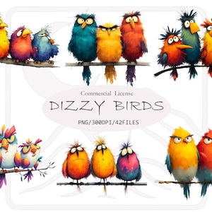 Dizzy Birds Clipart Bundle | 42 Quirky Colorful Cartoon Birds | whimsical PNG | Cute Funny Bird Illustrations for Crafts
