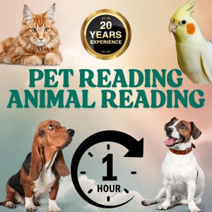 Huisdierlezing, paranormale dieren hetzelfde uur lezen, volledig gedetailleerd, lang uitleggen, paranormaal begaafd, geen suikerlaag, 99% nauwkeurig, gemiddeld lezen, tarot
