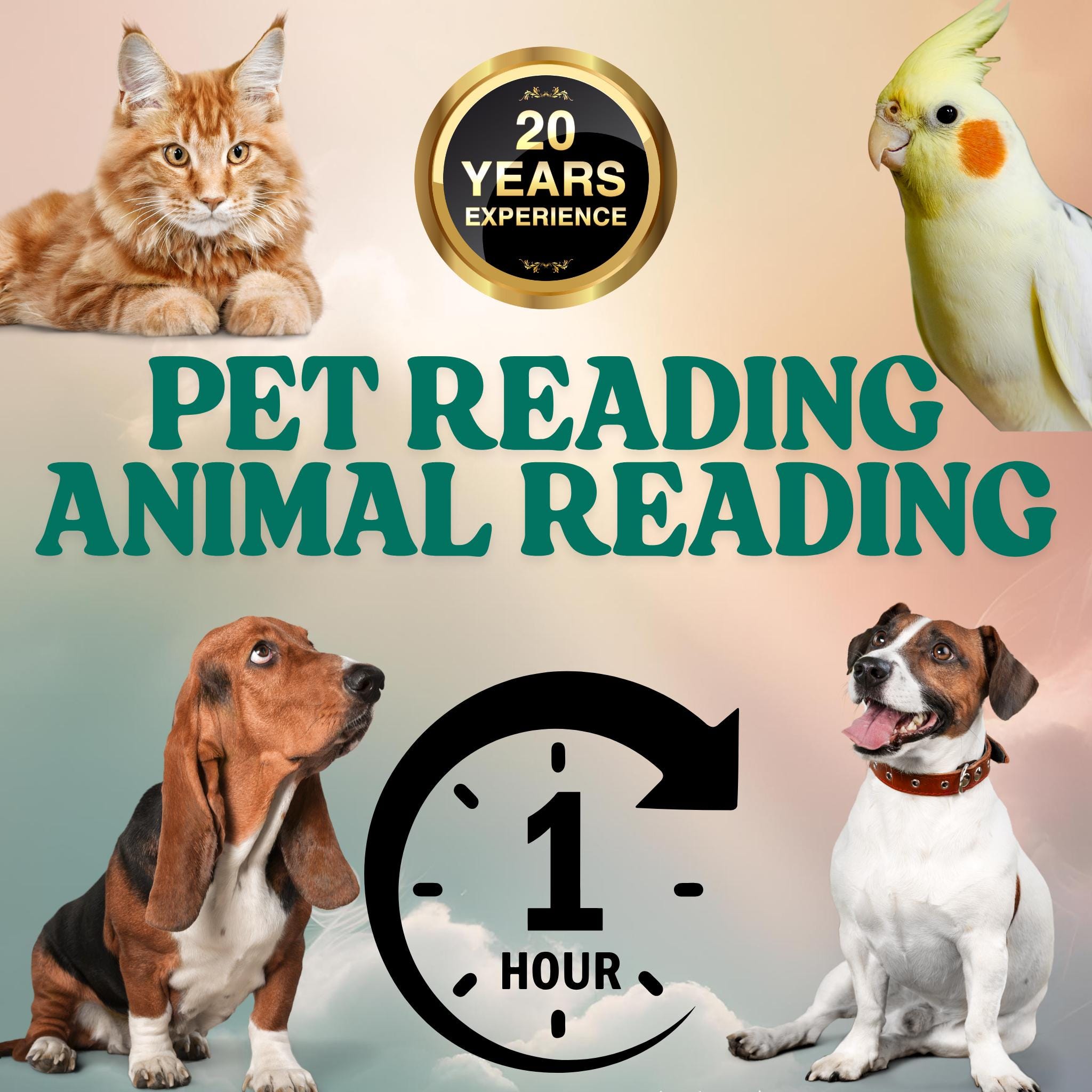 Personalized Pet Psychic Reading: Understand Your Animal Companion - Etsy