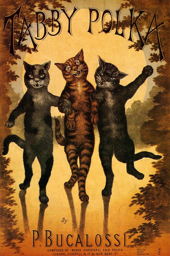 カバーシート 楽譜 タビーポルカ 2匹の黒猫と1匹のタビー猫のダンス