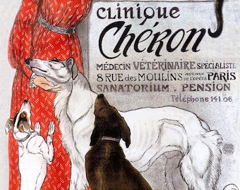 Vintage Veterinarian Art Poster: Fashion Lady, Dogs & Cats Giclee Print