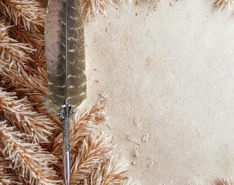 Kalligrafipenna, fjäderdoppad reservoarpenna, bläckpapperspenna, fjäderpennset, signaturpenna, skrivpenna, present till författaren.