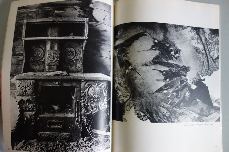 May include: Monochrome photograph featuring a detailed, antique cast iron stove. The stove, with its intricate patterns, is set against a backdrop of wooden panels. The image is from a book, with text visible on the right page.