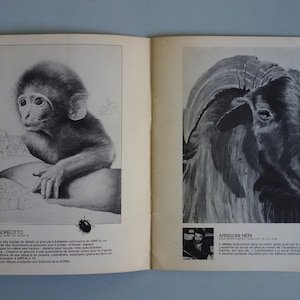 May include: Open book with two black and white illustrations. One shows a monkey with a detailed cityscape in the background. The other depicts a ram with large horns. Text and a portrait of the artist are below the monkey illustration.