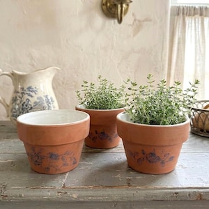 May include: Three terracotta flower pots with thyme plants. The pots have a white interior and a floral design. A vintage pitcher with a blue floral pattern is in the background. A metal basket with bread is on the right.