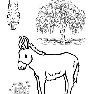 Kids Coloring Book, printable coloring pages, digital coloring book, coloring book pdf, instant download coloring book, fun coloring