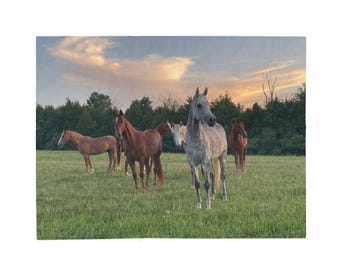 Horses Blanket. Available in 3 sizes. Shiloh Stable's  equine therapy horses pictured on a soft  velveteen plush blanket.