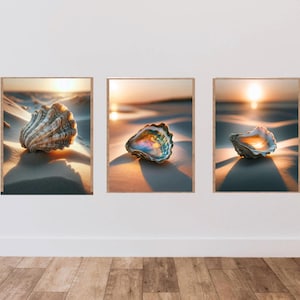 Könnte beinhalten: Set aus drei gerahmten Kunstdrucken mit Muscheln an einem Sandstrand bei Sonnenuntergang. Die Muscheln zeigen eine Vielzahl von Farben und Texturen, mit warmem Sonnenlicht, das Schatten wirft. Das Kunstwerk hat ein Küstenmotiv.
