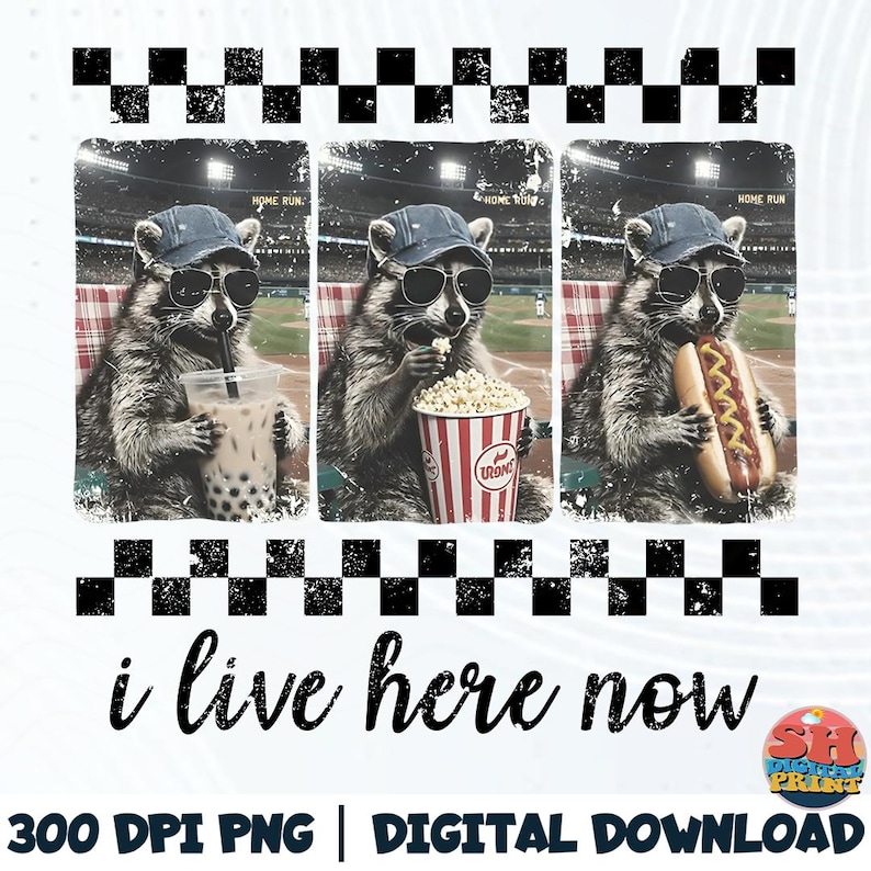 Funny Raccoon Baseball Meme PNG, I Live Here Now Snack Lover Design ...