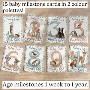 Cartes jalons bébé des bois, cartes jalons animaux des bois bohèmes, ensemble de cartes imprimables jalons de la première année des bébés, cartes jalons âge