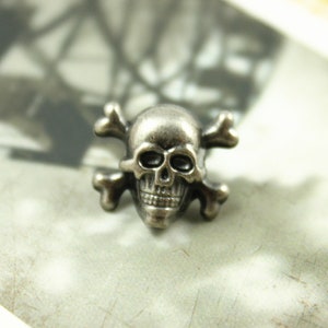 May include: A silver skull and crossbones charm. The skull has a detailed face with eye sockets, a nose, and a mouth.