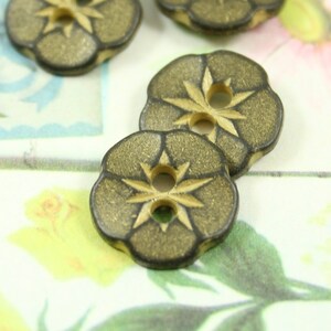 May include: Four brown buttons with a star design and two holes. The buttons have a textured surface and a gold-colored star.