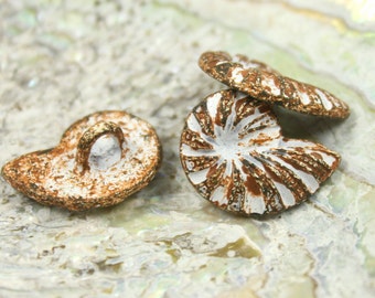 Metal Buttons - Ammonite White Rust Color Metal Shank Buttons - 0.79 inch - 6 pcs