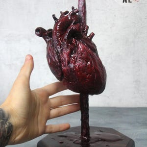 Realistic anatomical human Heart (to order) - interior sculpture handmade, removable
