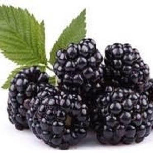 Blackberry 3oz and 8oz black leaf tea
